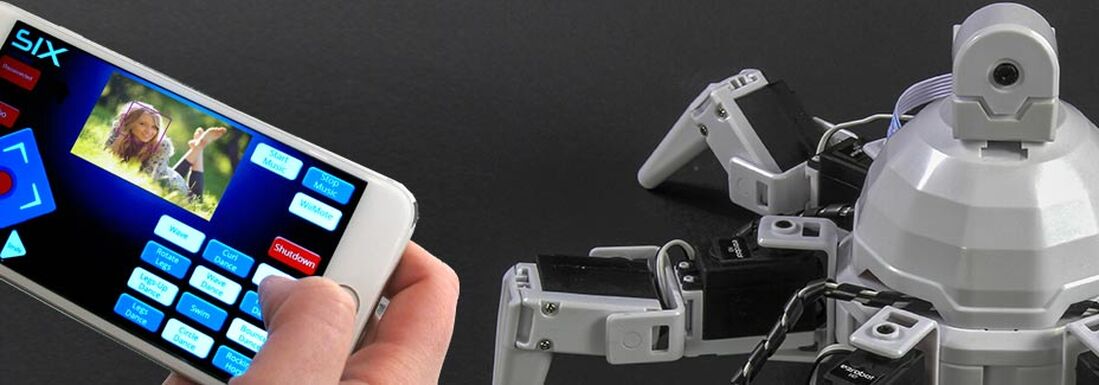 Robot vision with streaming live video